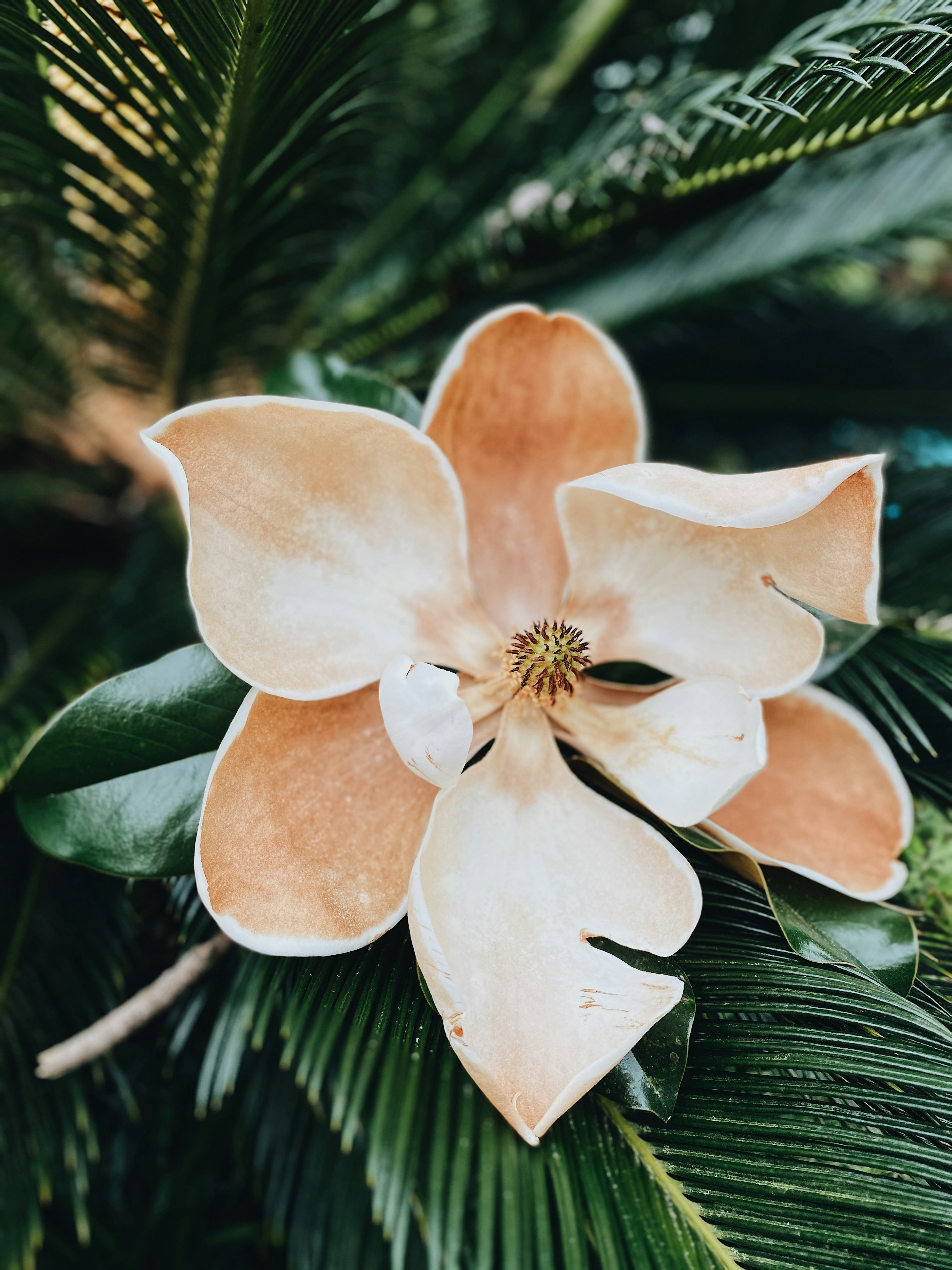 Portrait of women in matching yoga outfits